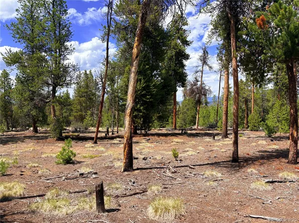 360 Lodgepole Drive, Leadville, CO 80461