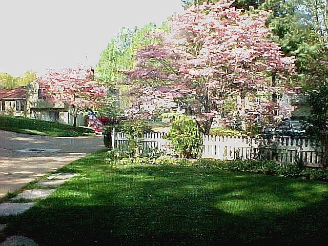 2nd image of 7917 Freehollow Dr