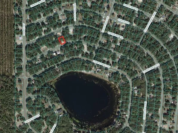 Fisher Way Crse Lot 9, Ocklawaha, FL 32179