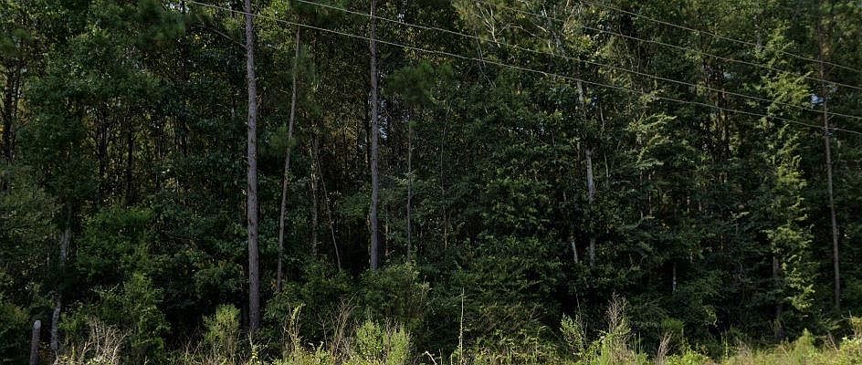 2nd image of 15.4 Acres Hwy #107