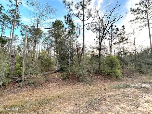 Plum Ct, Marianna, FL 32448