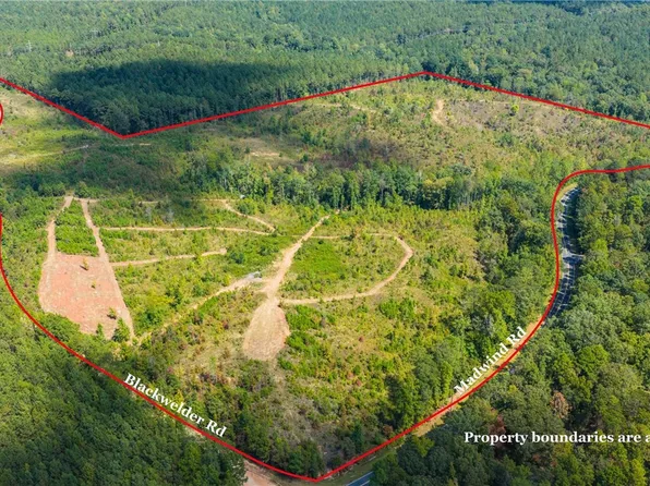 51/ACRE S Madwind Rd, Jacksons Gap, AL 36861