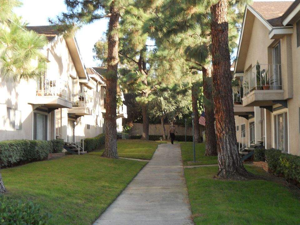 Open Courtyard