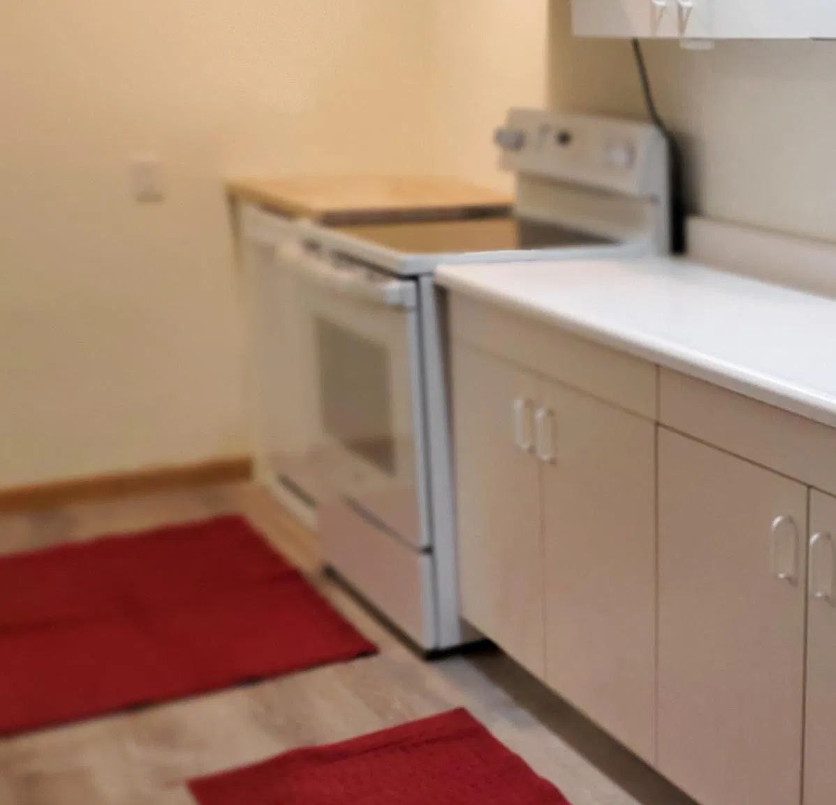 2 bed, 1700 sqft, $1,900 — Photo 4