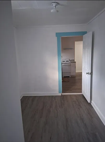 11 Riberia St — Photo 3