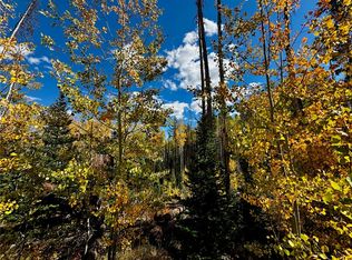 2 S Station Way #II, Oak Creek, CO 80467