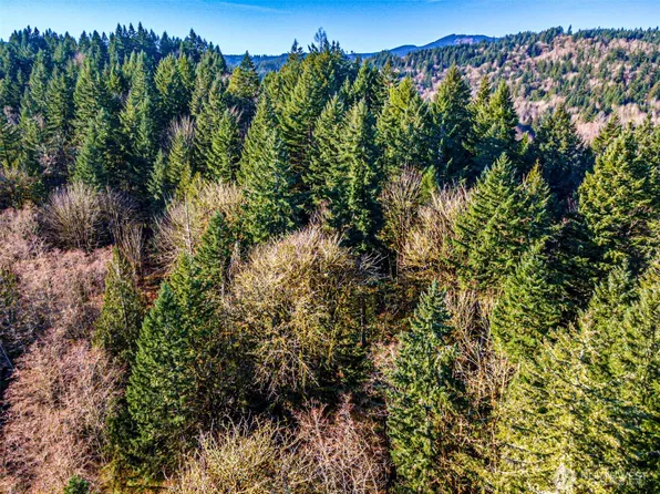 0 Dempsey Lane SW, Olympia, WA 98512