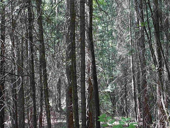 3rd image of 16 N Deer Creek Rd Parcel 48131.9032-20A