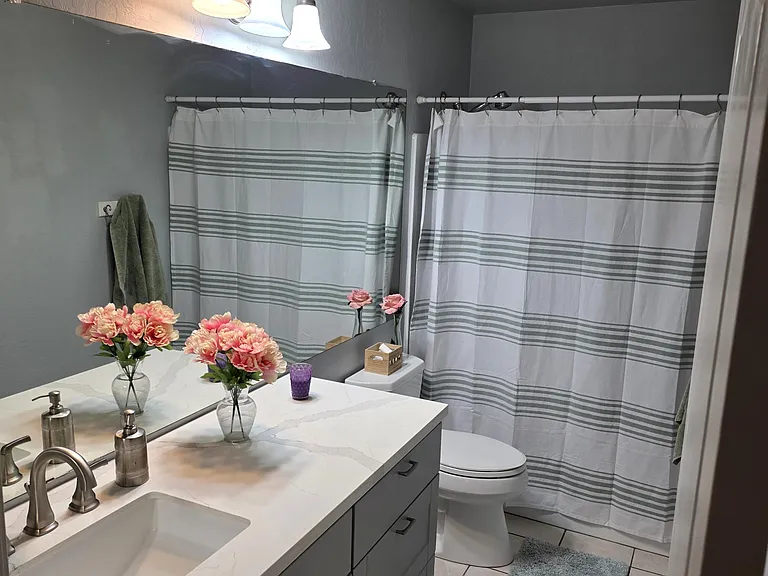 1734 E Pontiac Dr — Photo 29