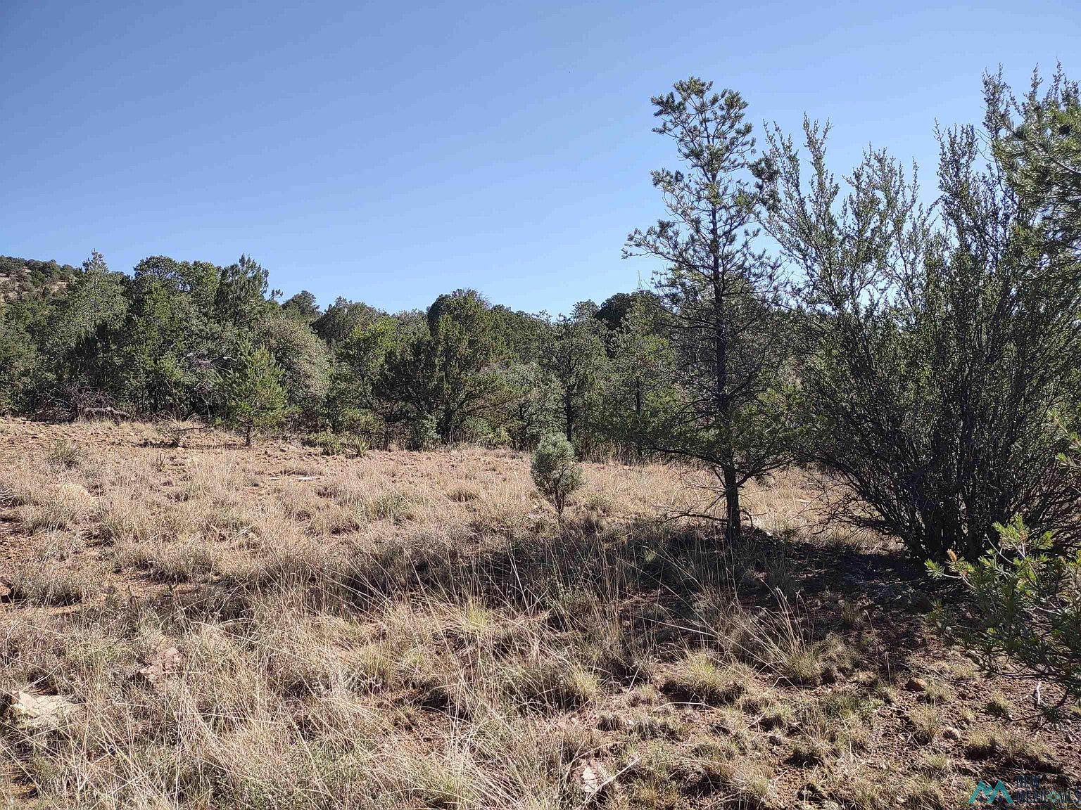 X3 Nizhoni Loop, Silver City, NM 88061 MLS 20234652 Zillow