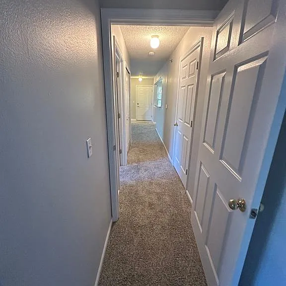 12101 Pinehurst Ln — Photo 18