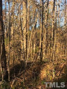 Old Pleasant Dr LOT 25, Hillsborough, NC, 27278