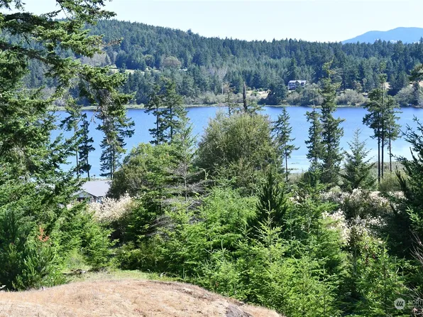 0 Woodpecker Lane, Friday Harbor, WA 98250
