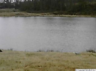 Riverway Ln, NEW MARKET, AL 35761