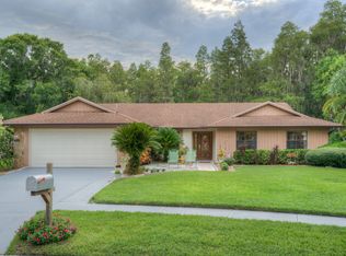 4333 Honey Vista Cir, Tampa, FL 33624