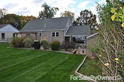 Back yard