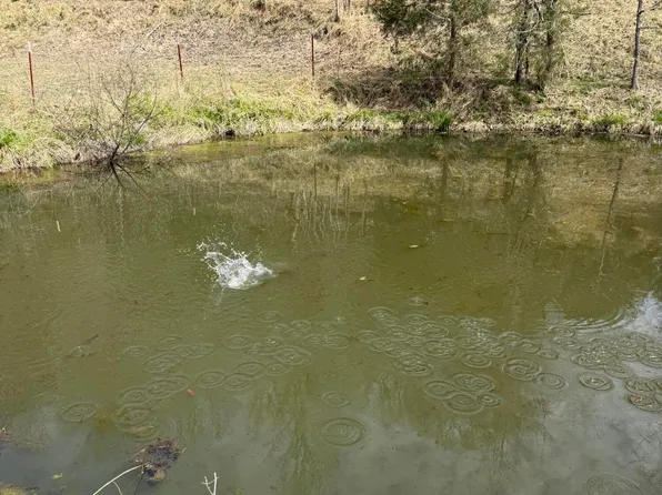 0 Kyles Ford Hwy #35, Kyles Ford, TN 37765