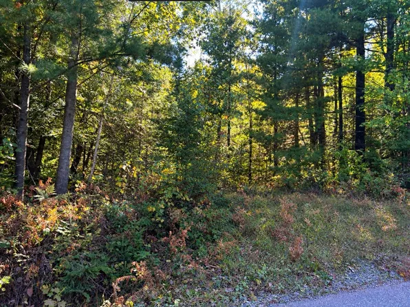 N Tower Rd, Winter, WI 54896