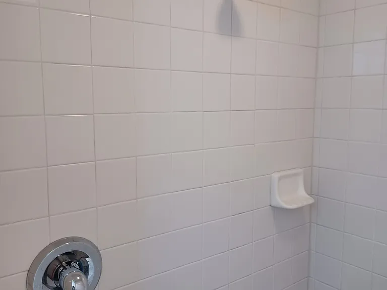 4233 Chouteau Ave #2R — Photo 20