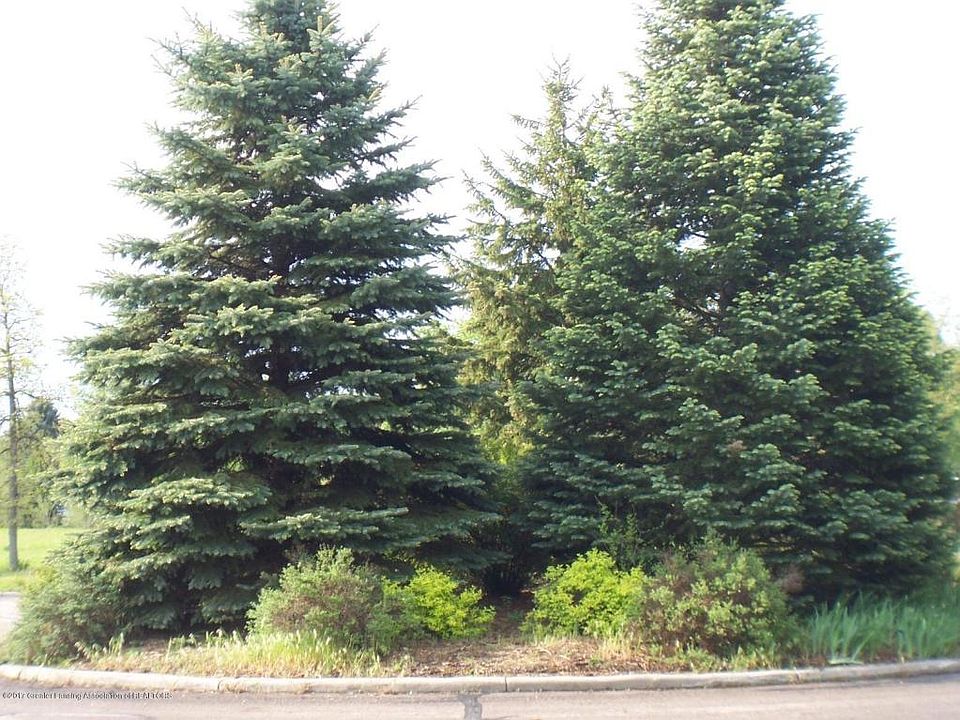 2nd image of 2859 Trillium Creek Way