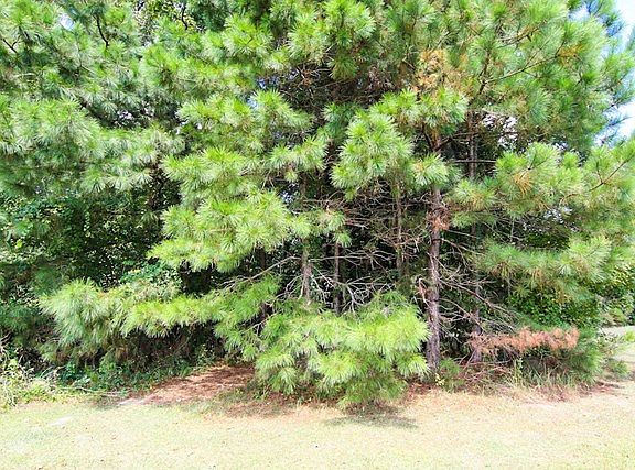 5th image of 135 Cedar Springs Dr