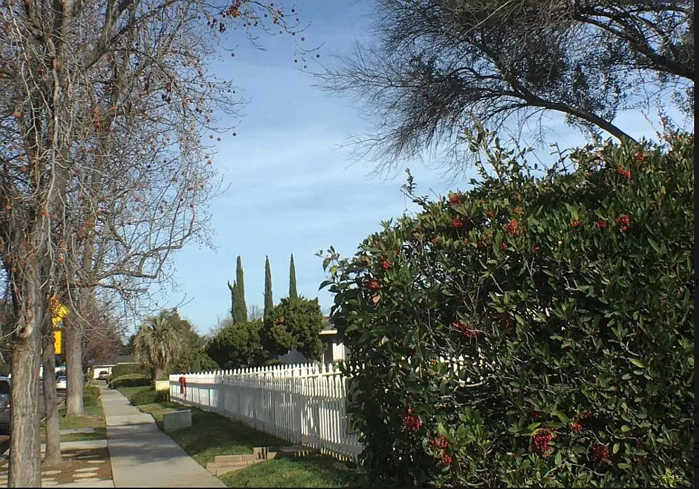 2 bed, 850 sqft, $3,150 — Photo 2