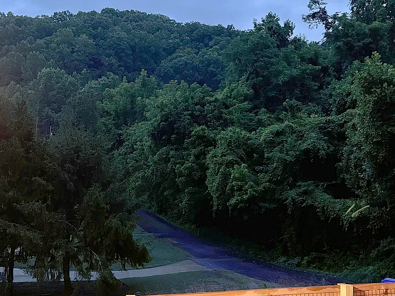 South-facing view from front porch