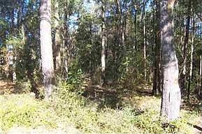 2nd image of 5044 Blountstown Hwy