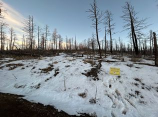 345 Macnaughton Dr, Fort Garland, CO 81133