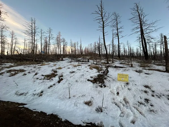 345 Macnaughton Dr, Fort Garland, CO 81133