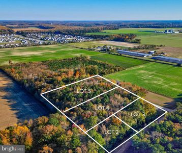 LOT 5 Diamond Farm Rd, Milton, DE, 19968