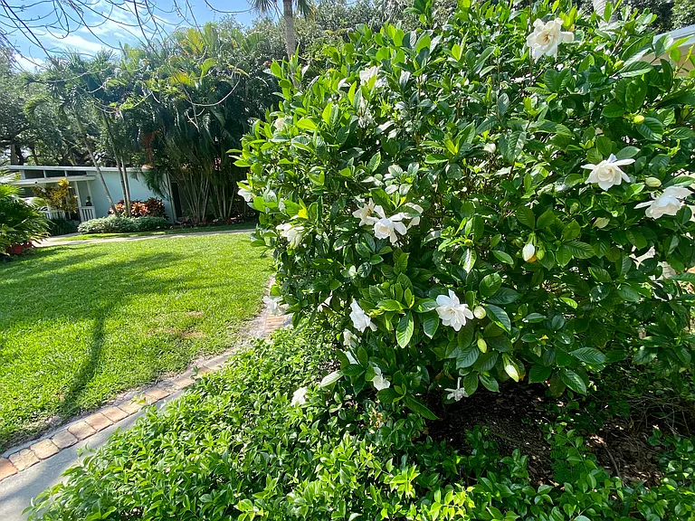 720 Lantana Ln #F — Photo 18