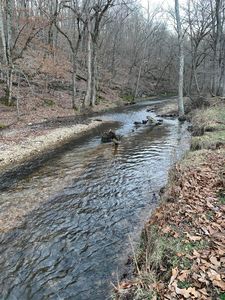 000 Kimberlin Mill Road, Clever, MO, 65631