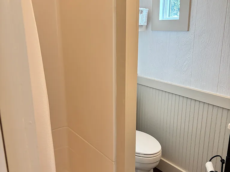 Shower and toilet to the left of the vanity.