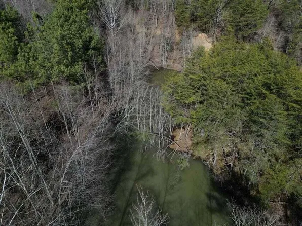 1111 Ray Johnson Rd, East Bernstadt, KY 40729