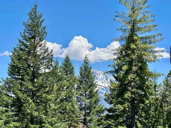 Black Bear Loop, Weed, CA 96094