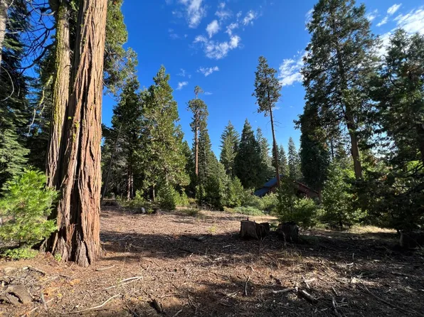 41868 Timber Ridge Ln, Shaver Lake, CA 93664