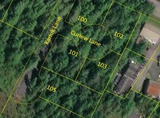 100 Curlew Ln, Petersburg, AK 99833