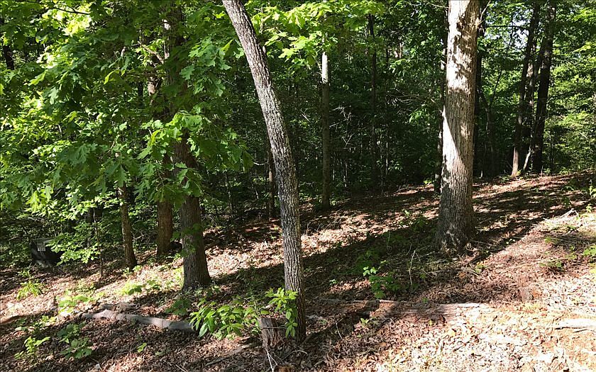 1st image of LOT 2 Woods Of Hunter Lot 2