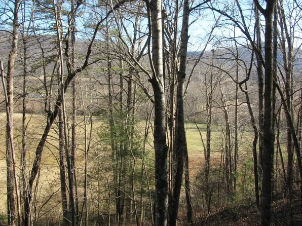 39 Pinecrest Rd, Young Harris, GA 30582