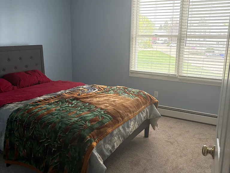 50 Sunflower Cir — Photo 11