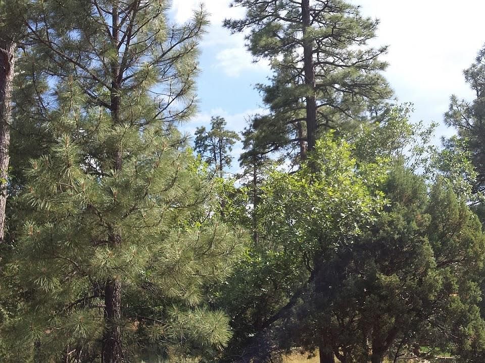 1st image of 2251 Evergreen Ln
