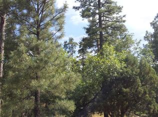 2251 Evergreen Ln, Show Low, AZ 85901