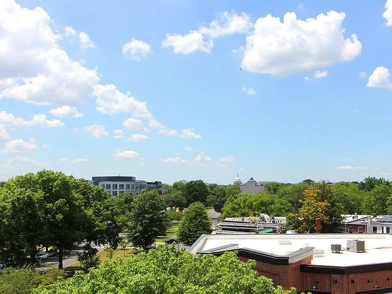 The view from the shared roof deck