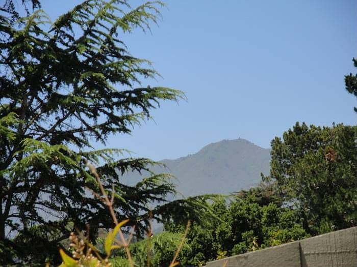 Mt Tam