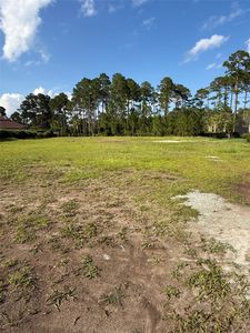 95279 Amelia National Pkwy, Fernandina Beach, FL, 32034