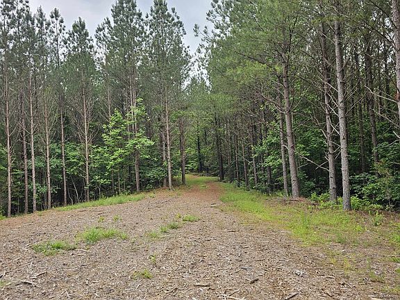 4th image of 2063 Wedgewood Dr Lot 239