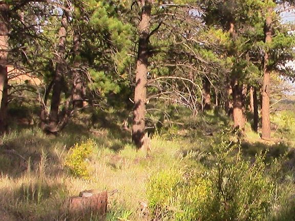4th image of 24210 W County Road 74e