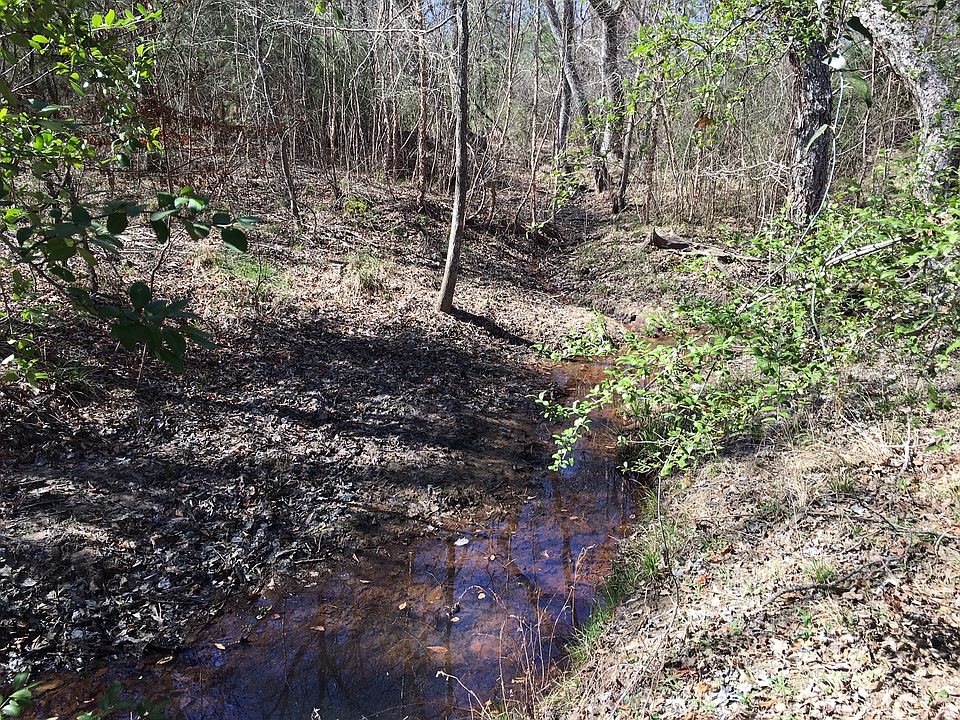 1st image of 31.6 Acres On An Co Road 330