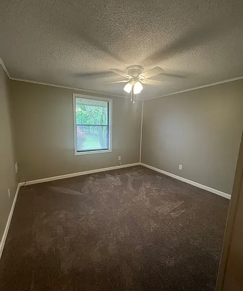 Cedarwood — Photo 6